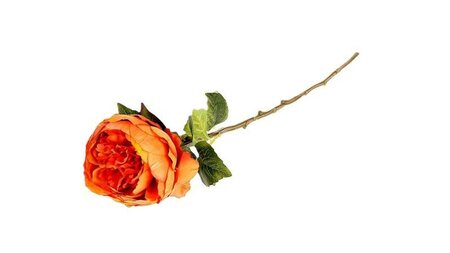 Image courtesy of HBX