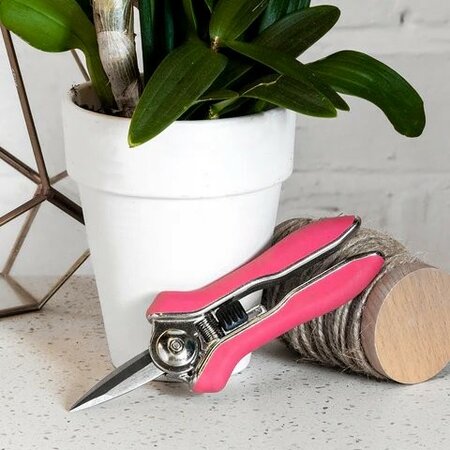 Orchid Snips -Image courtesy of Burgon & Ball