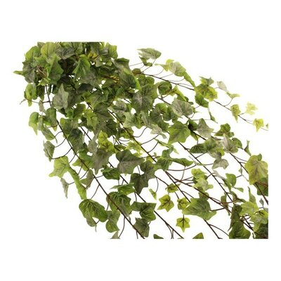 Outdoor Blush Ivy Trailing Bush -Image courtesy of Sage Décor