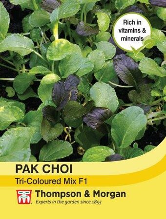Pak Choi (Chinese Cabbage) Tricoloured Mix F1 Hybrid - image 1