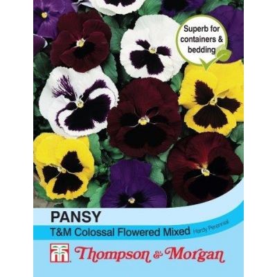 Pansy T&M Colossal Flowered Mixed - Image courtesy of T&M