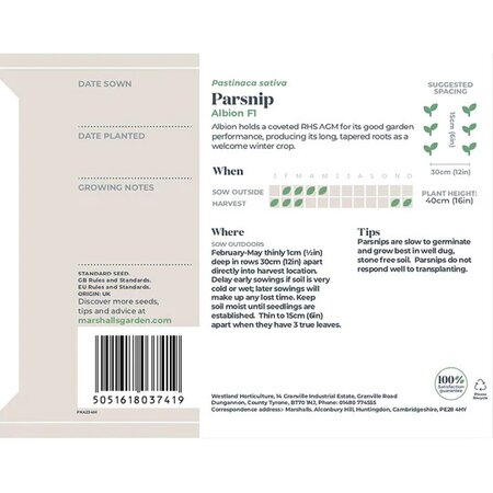 Parsnip Albion F1  (400) - image 2