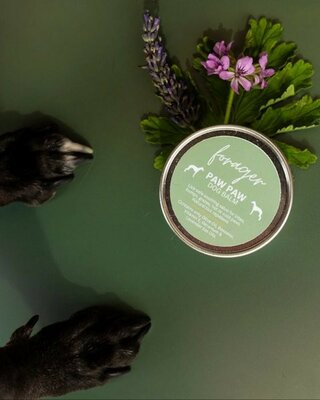 Paw Paw - Dog Balm -Image courtesy of Forager