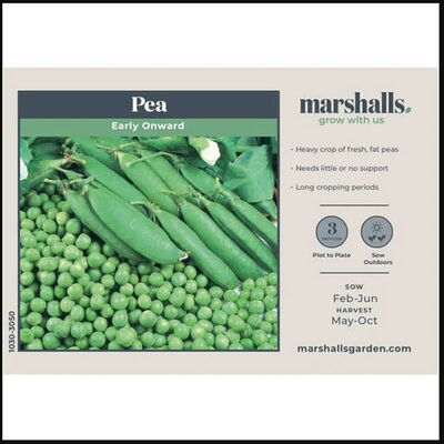 Pea (Early) Early Onward