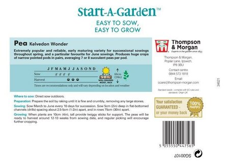Pea Kelvedon Wonder - image 2