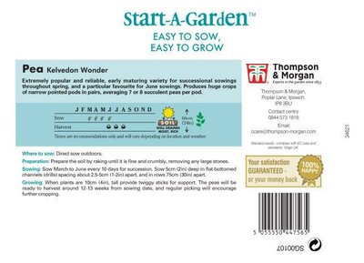 Pea Kelvedon Wonder - image 2