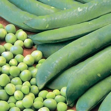 Pea (Maincrop) Onward