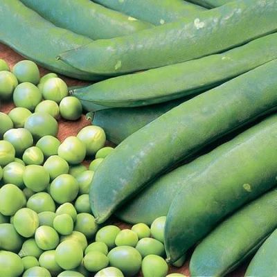 Pea (Maincrop) Onward