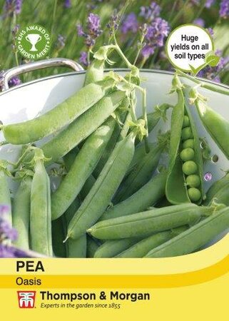 Pea Oasis - image 1