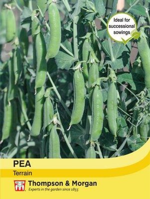 Pea “Terrain” - image 1