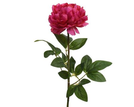 Peony on stem - image 1