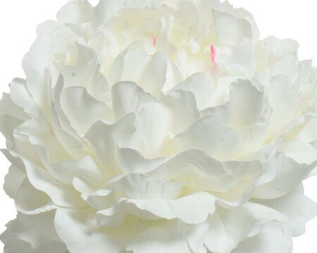 Peony Polyester - image 2