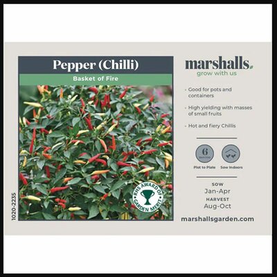 Pepper (Chilli) Basket of Fire F1 - image 1