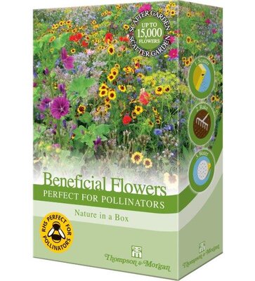 Perfect for Pollinators Mix