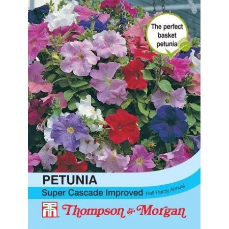 Petunia Super Cascade Improved - Image courtesy of T&M