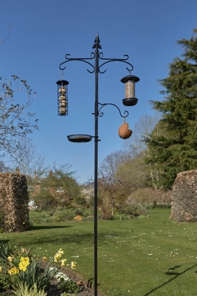 Piazza Bird Station -Image courtesy of Tom Chambers