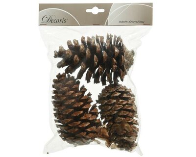 Pinecone natural (natural)