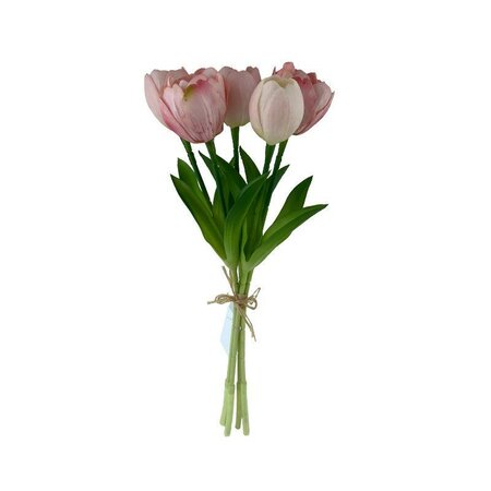 Pink Tulip Bundle -Image courtesy of Elmes