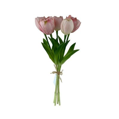 Pink Tulip Bundle -Image courtesy of Elmes