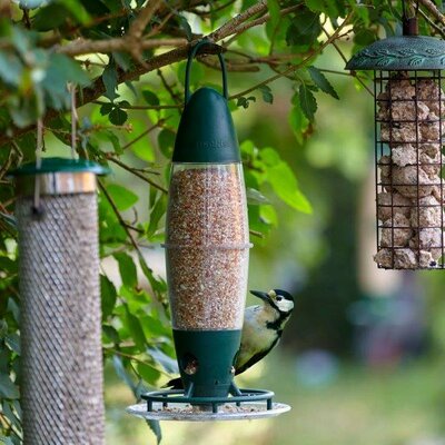 Peckish 3 Port Multi Seed Feeder -Image courtesy of Westland