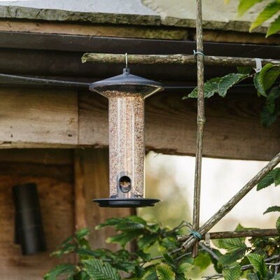 Peckish Funnel Seed Feeder -Image courtesy of Westland
