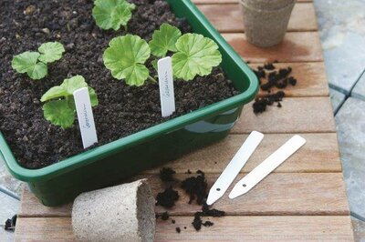 Plant Labels with Pencil