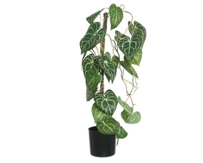 Plant Polyester - image 1