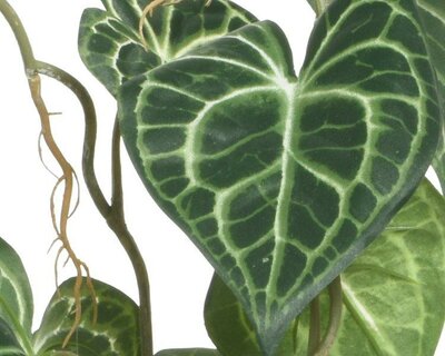 Plant Polyester - image 2