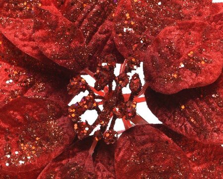 Poinsettia on clip (red) - image 2