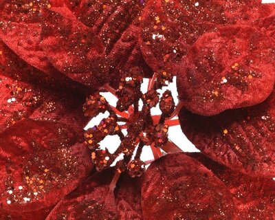 Poinsettia on clip (red) - image 2