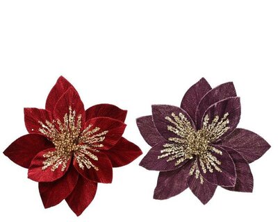 Poinsettia on clip velvet with sparkle centre