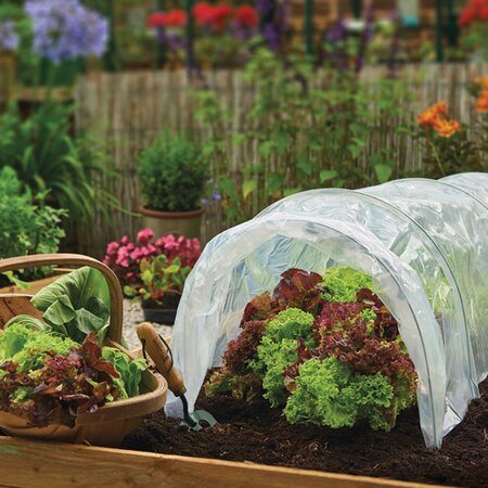 Polythene Grow Tunnel - image 1