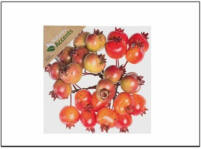 Image courtesy of Hodgewoning