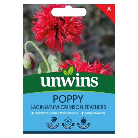Poppy laciniatum Crimson Feathers - Image courtesy of Unwins