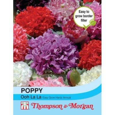 Poppy Ooh la la - Image courtesy of T&M