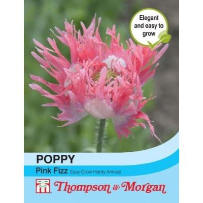 Poppy Pink Fizz  - Image courtesy of T&M