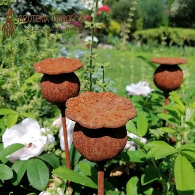 Metal Garden Stake – Poppy Seedhead -Image courtesy of Plantline