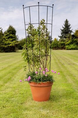 Pot & Planter Trellis -Image courtesy of Tom Chambers