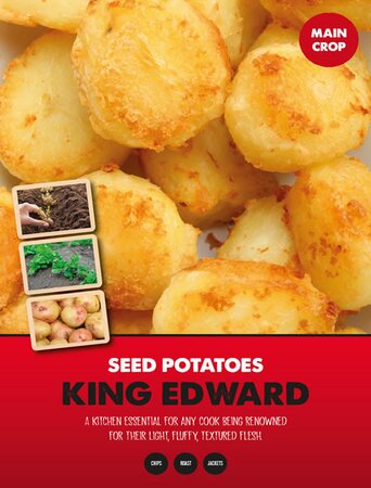 Potato King Edward - Image courtesy of Kapiteyn