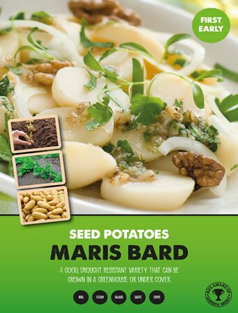 Potato Maris Bard  - Image courtesy of Kapiteyn