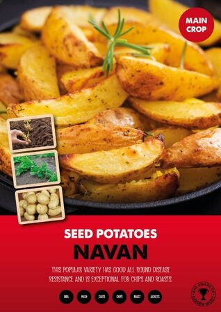 Image courtesy of Kapiteyn