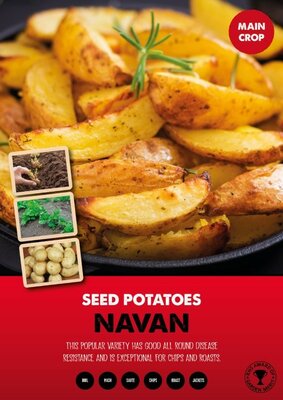 Image courtesy of Kapiteyn