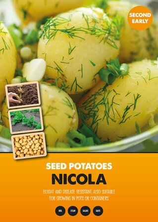 Potato Nicola  - Image courtesy of Kapiteyn