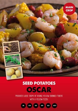 Image courtesy of Kapiteyn