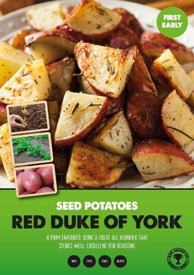 Image courtesy of Kapiteyn