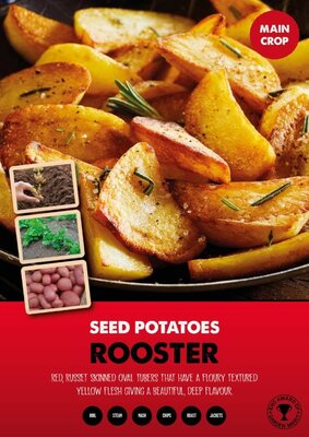 Potato Rooster (25kg)