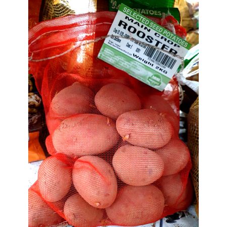 Rooster Seed Potatoes (2KG) - Ardcarne