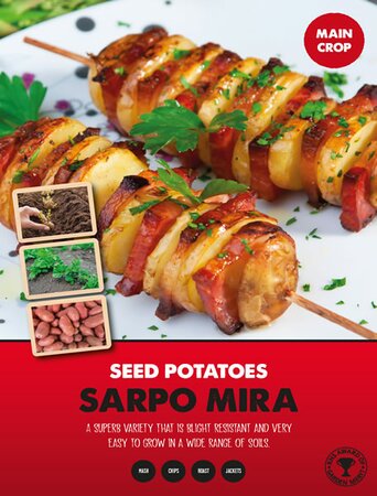 Potato Sarpo Mira - Image courtesy of Kapiteyn