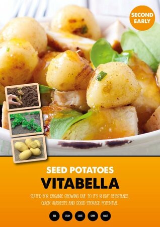 Image courtesy of Kapiteyn