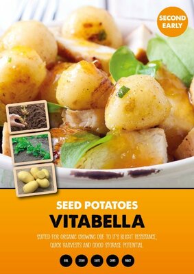 Image courtesy of Kapiteyn